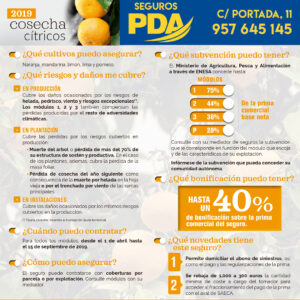 Seguro de cítricos Pablo Domínguez Aseguradores, Palma del Río