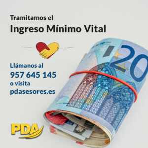 ingreso minimo vital