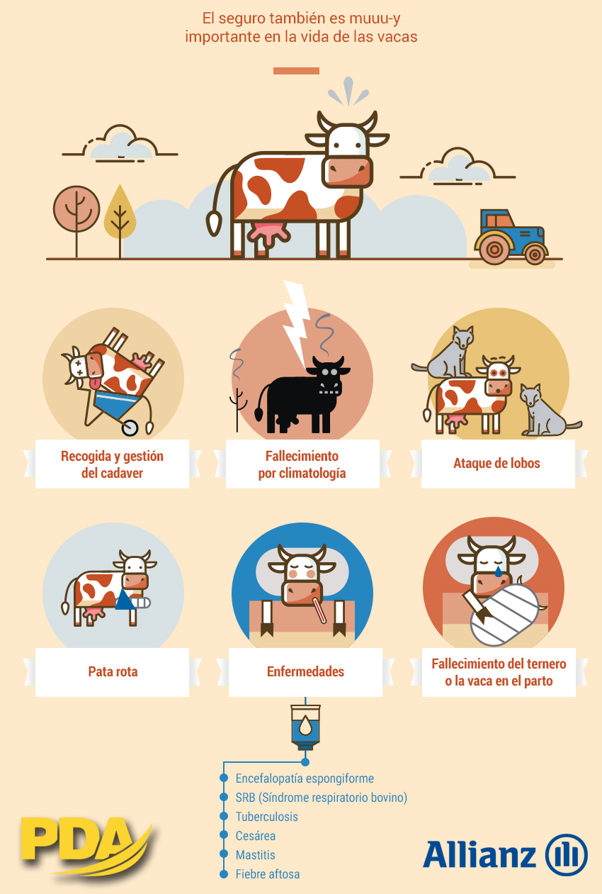 asegura vaca seguro ganadero