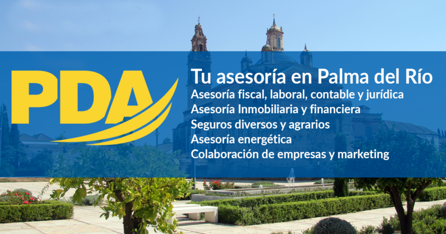 banner asesoria