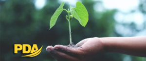 pda medio ambiente